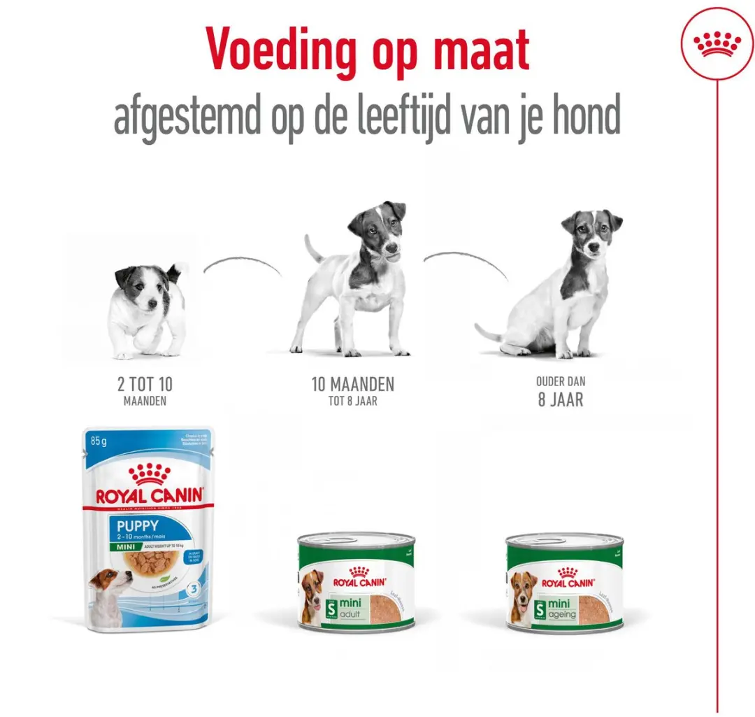 Royal Canin Mini Adult Natvoer - 12 x 195g