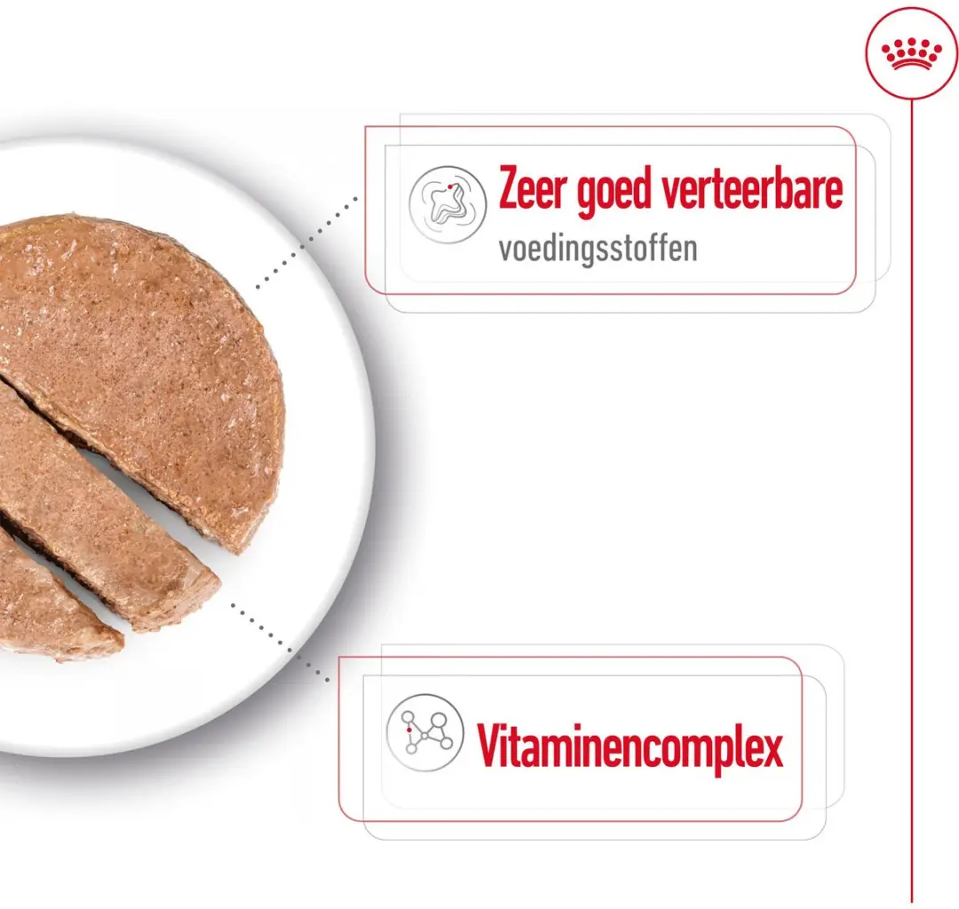 Royal Canin Mini Adult Natvoer - 12 x 195g