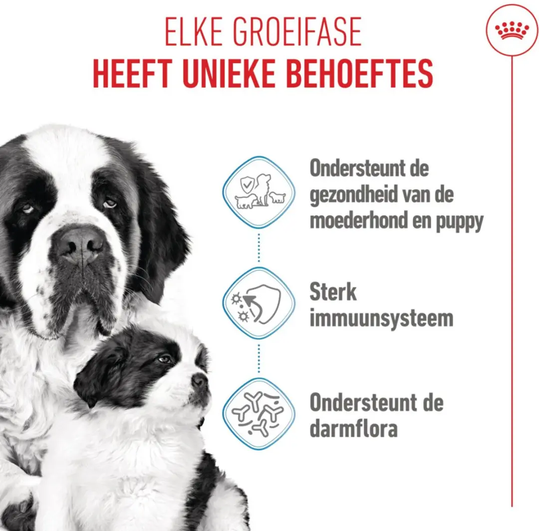 Royal Canin Hondenvoer Droog Mother & Baby Giant Starter 3.5kg