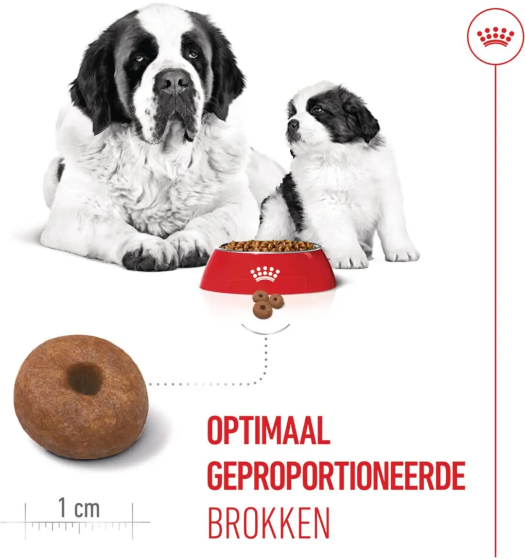 Royal Canin Hondenvoer Droog Mother & Baby Giant Starter 3.5kg