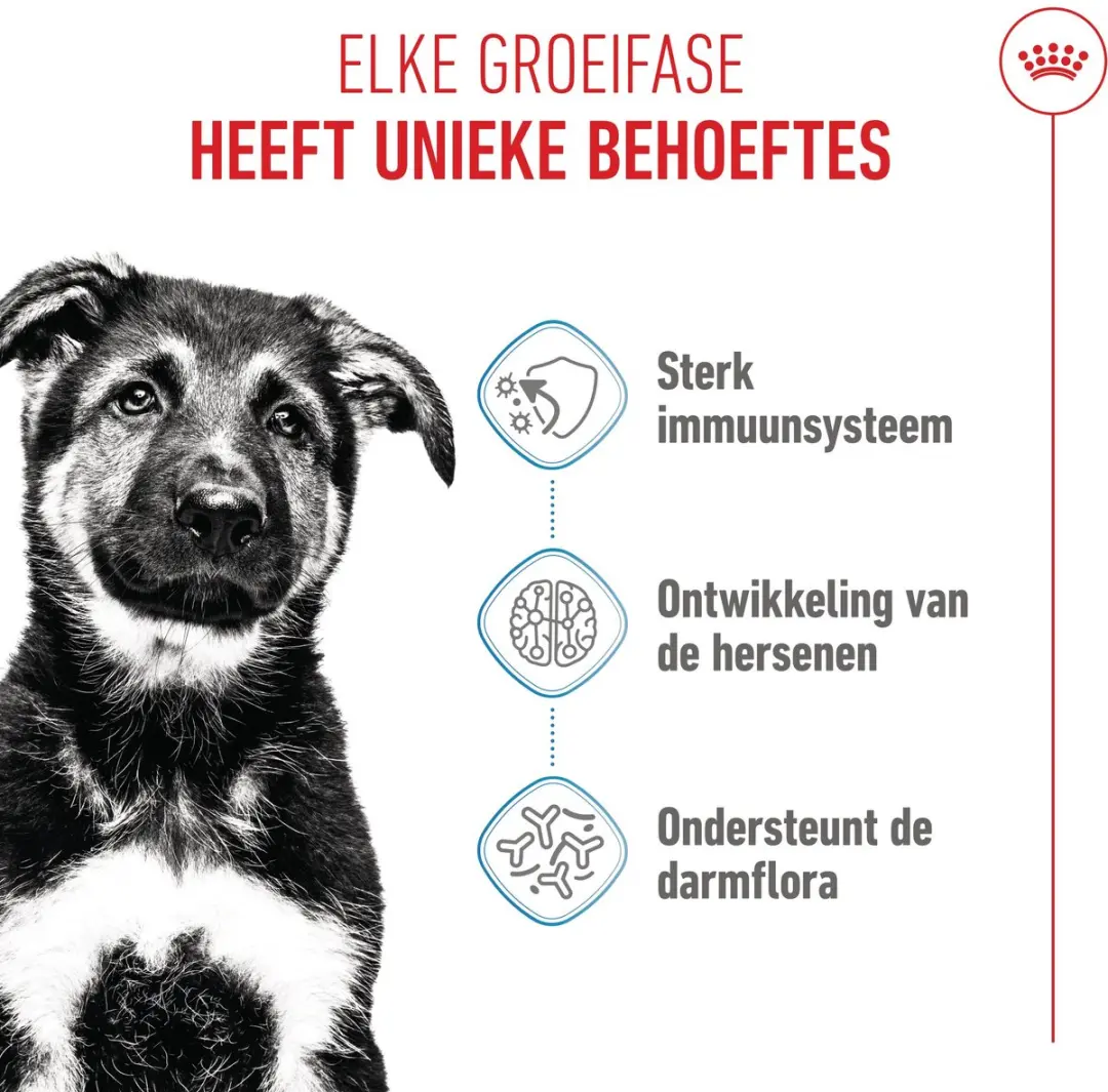 Royal Canin Maxi Puppy - 1 Stuk - afbeelding 6 van 6
