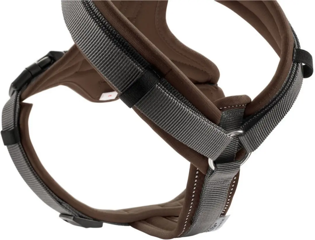 Hunter Harnas Maldon Bruin&Grijs - XS 31-49cm