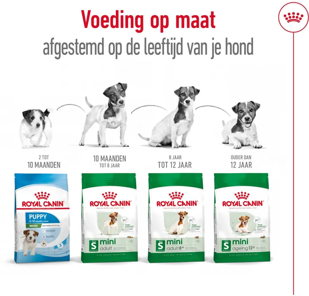 Royal Canin Mini Adult Hondenvoer - 800g