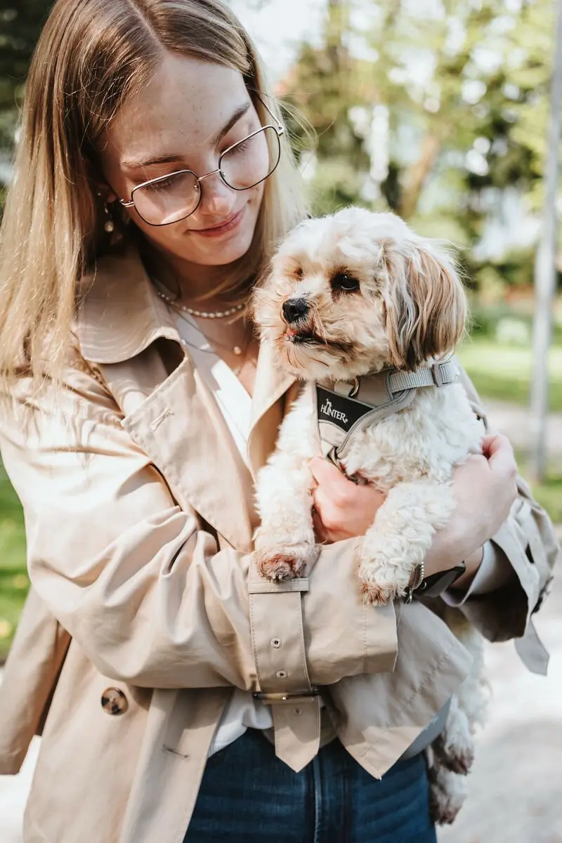 Hunter DIVO UP Hondentuigje - S Beige