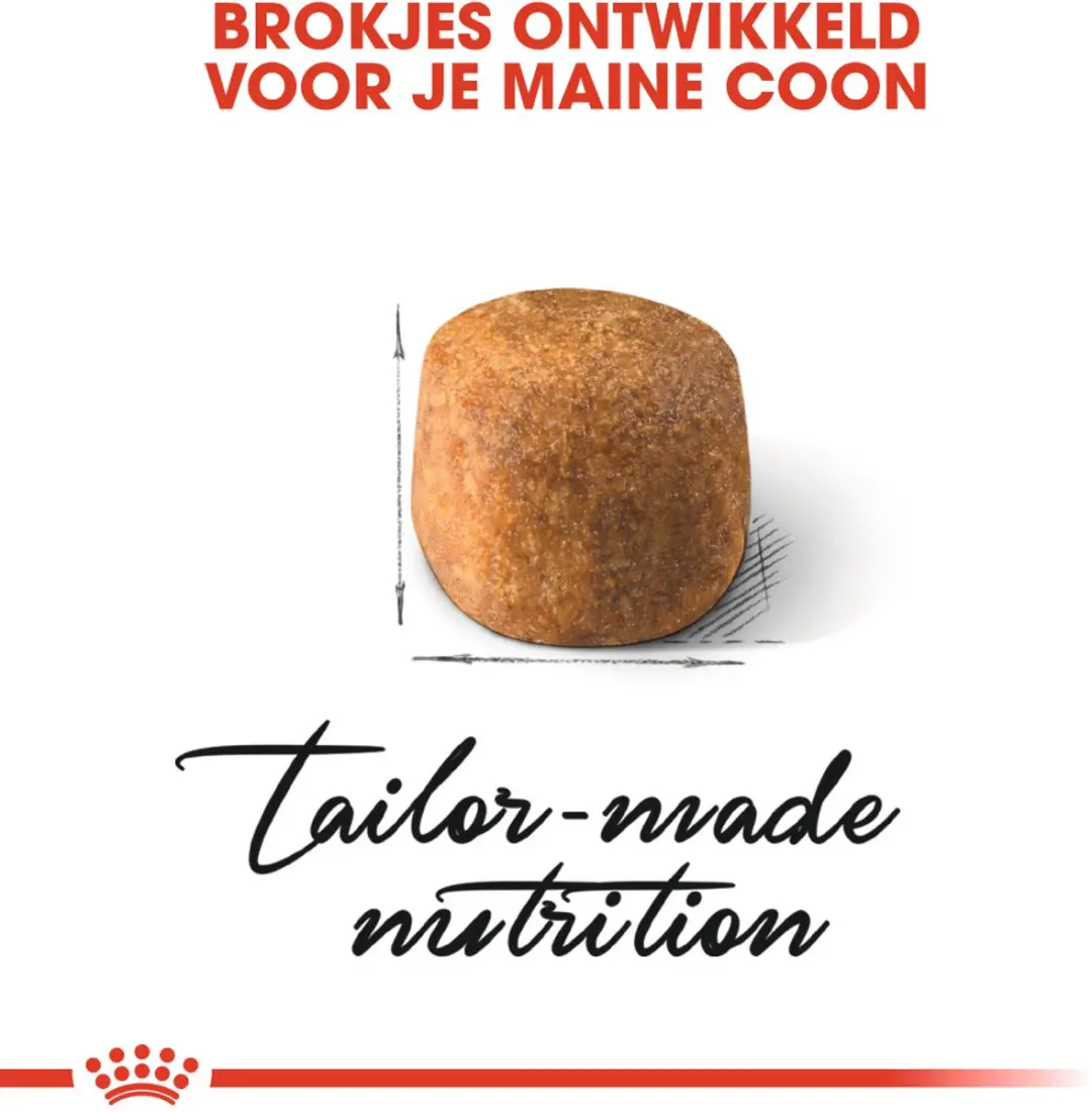 Royal Canin Maine Coon Adult - 2x4kg