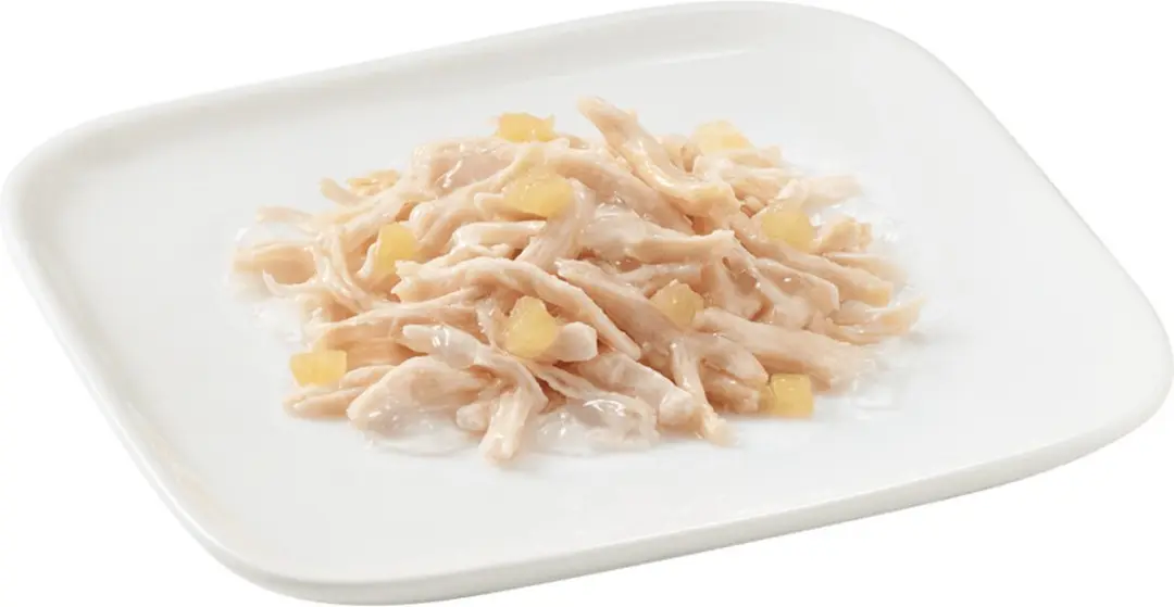 Schesir Hondenvoer Kip - Appel 150g - 10 Stuks