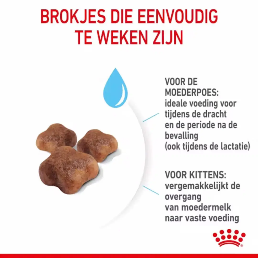 Royal Canin Mother & Babycat Kattenvoer - 4x4kg