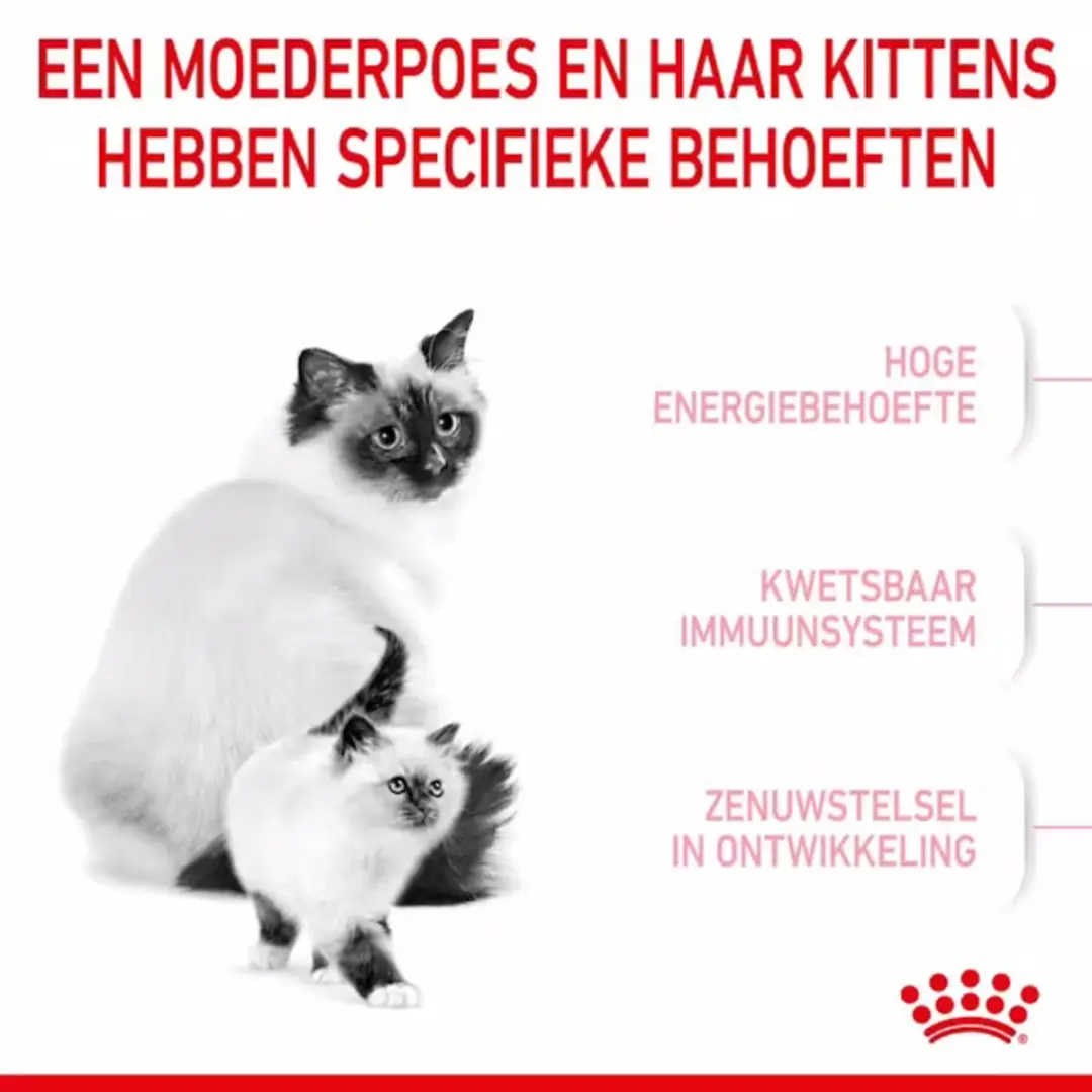 Royal Canin Mother & Babycat Kattenvoer