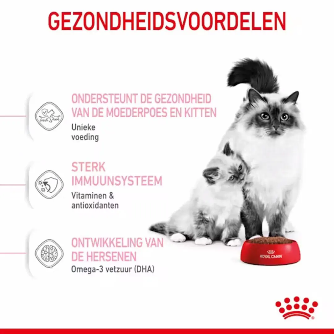 Royal Canin Mother & Babycat Kattenvoer - 4x4kg