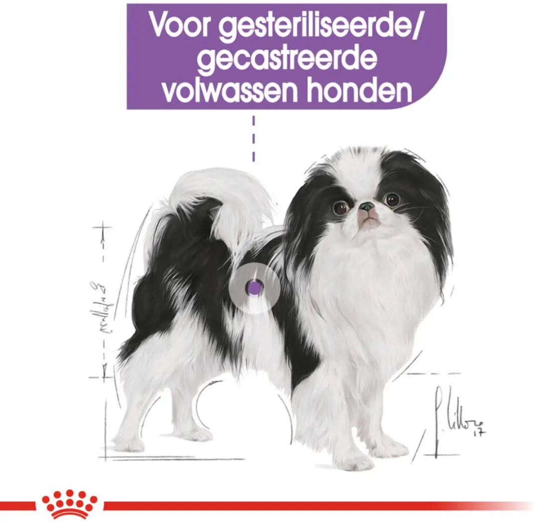 Royal Canin Sterilised X-Small Hondenvoer - 6x1,5kg