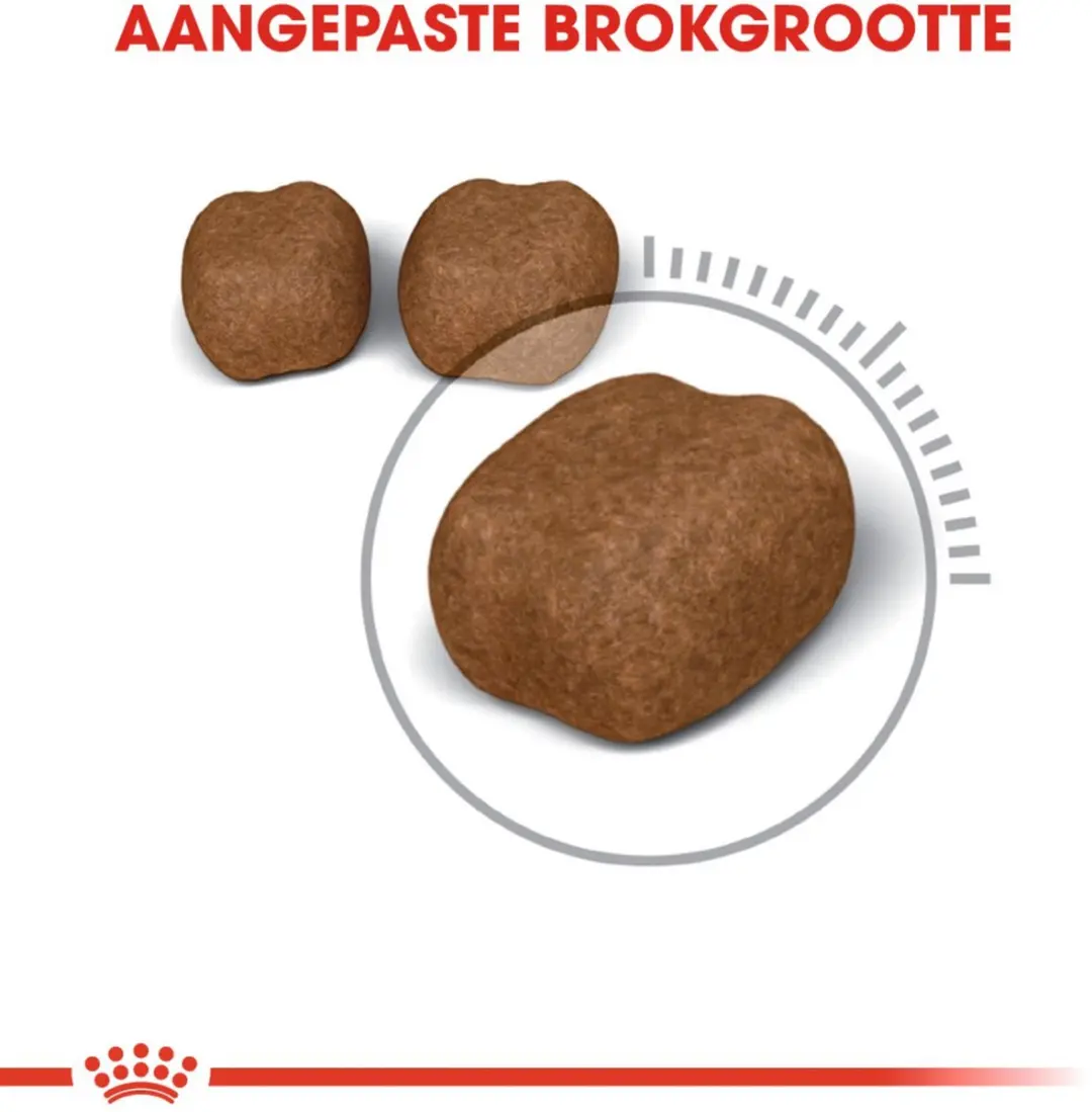 Royal Canin Dental Care Kattenvoer 1.5kg - afbeelding 6 van 6