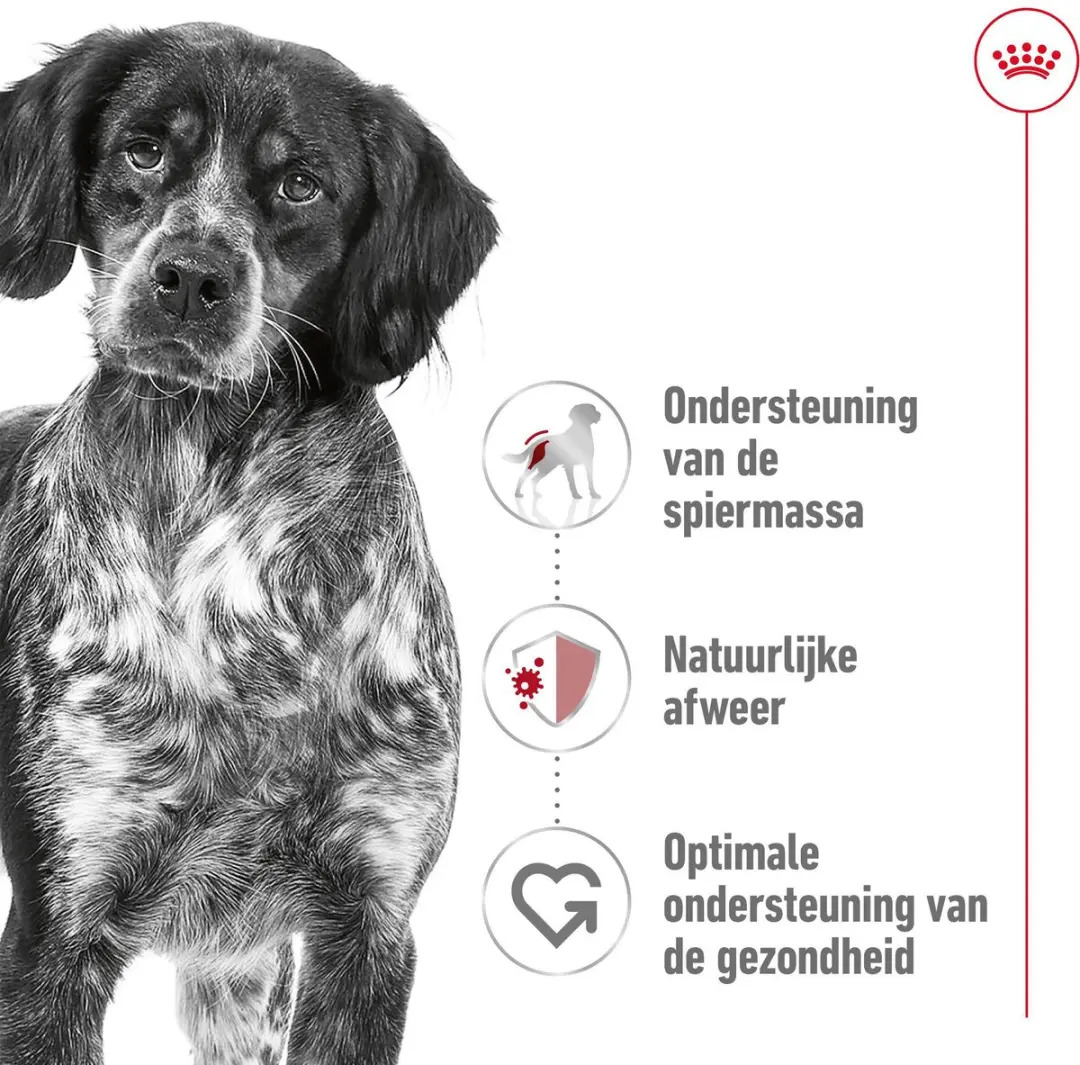 Royal Canin Medium Adult Hondenvoer - 2x10kg