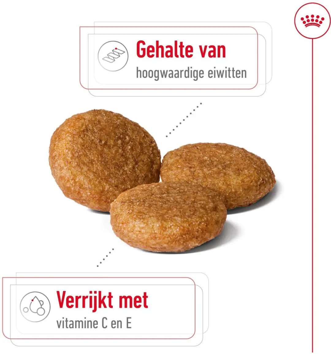 Royal Canin Medium Adult Hondenvoer - 2x10kg
