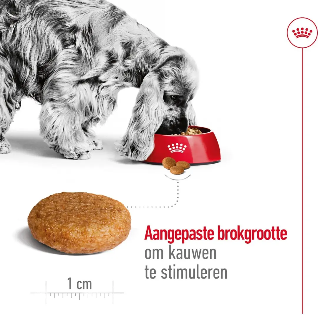 Royal Canin Medium Adult Hondenvoer - 2x10kg
