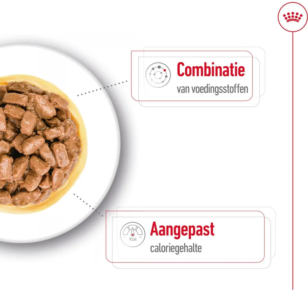 Royal Canin Mini Ageing 12+ Natvoer - 12x85g