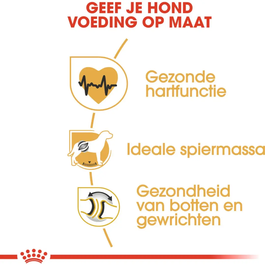 Royal Canin Rottweiler Adult Hondenbrokken 12kg