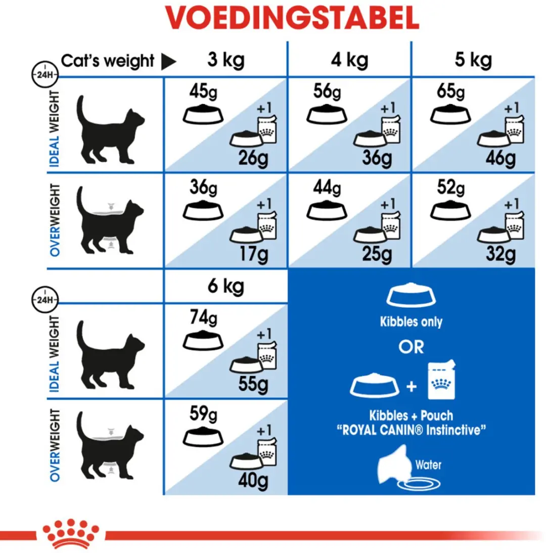 Royal Canin Indoor 27 Kattenvoer - 6x2kg