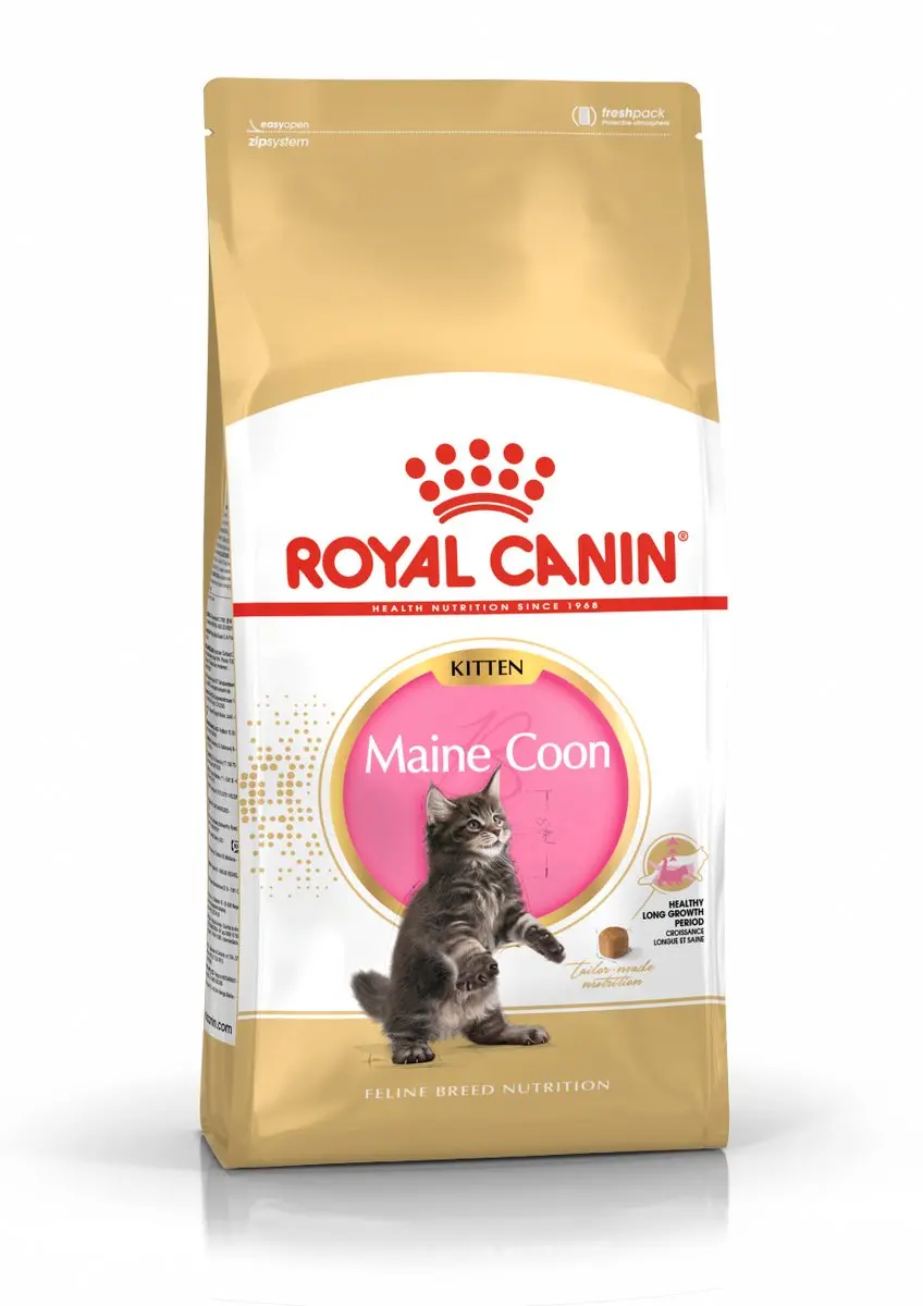 Royal Canin Maine Coon Kitten Kattenvoer 400g