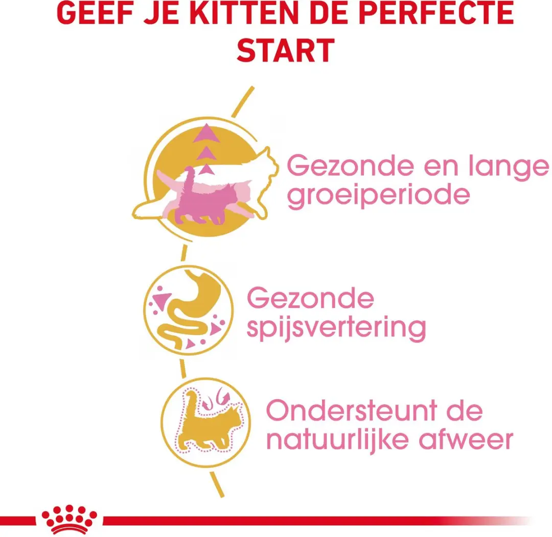 Royal Canin Maine Coon Kitten Kattenvoer 400g