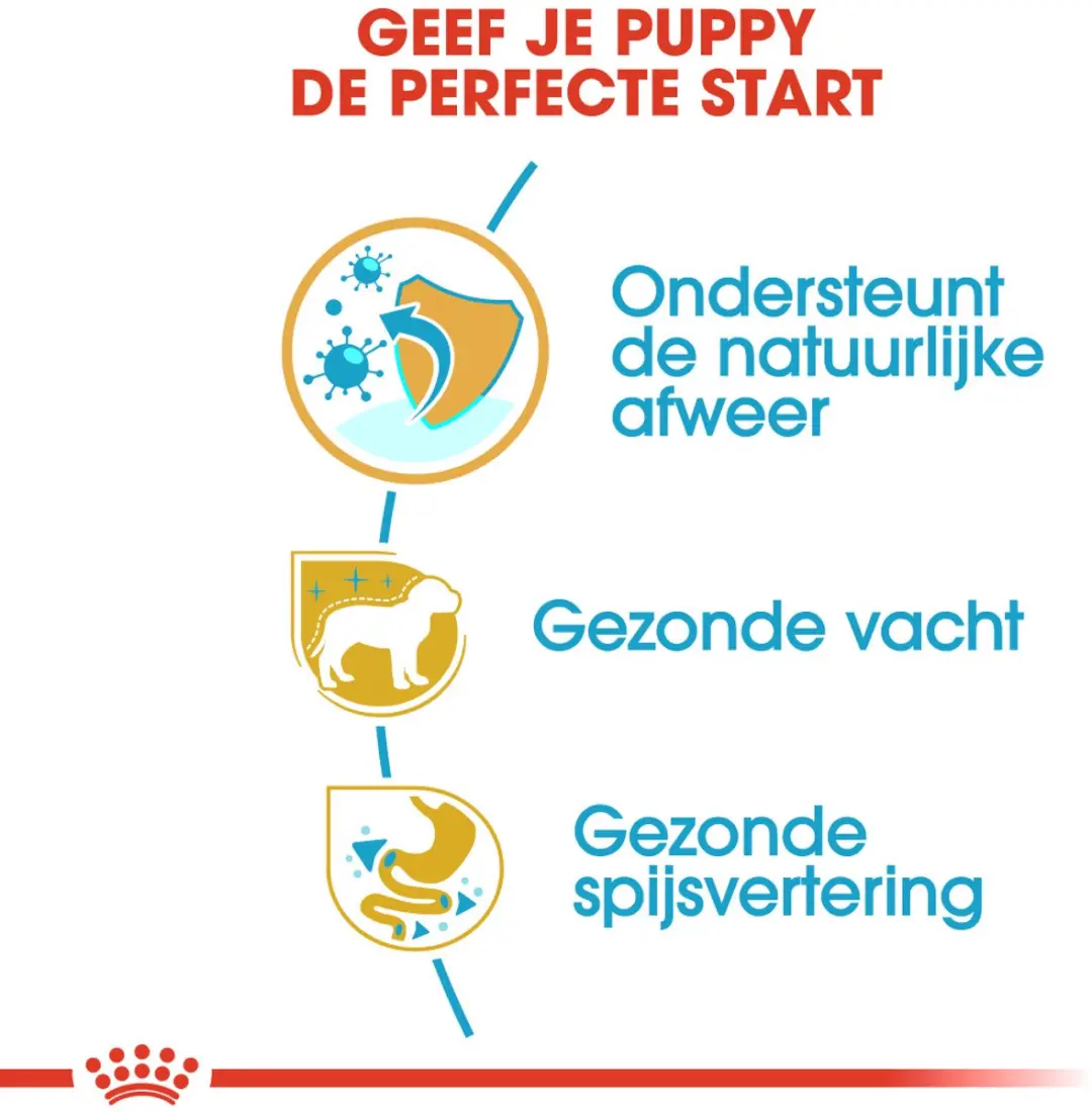 Royal Canin Poodle Puppy Hondenvoer - 3kg