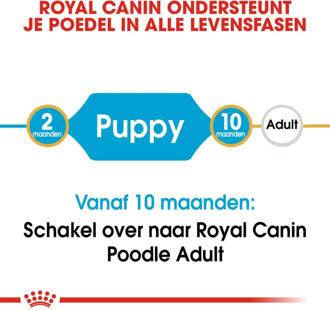 Royal Canin Poodle Puppy Hondenvoer - 3kg