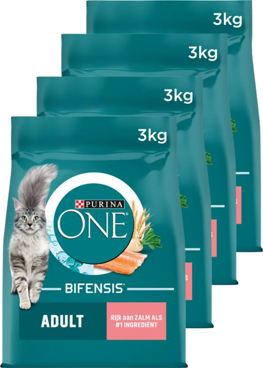 Purina ONE Adult Kattenbrokjes Zalm & Volkoren Granen