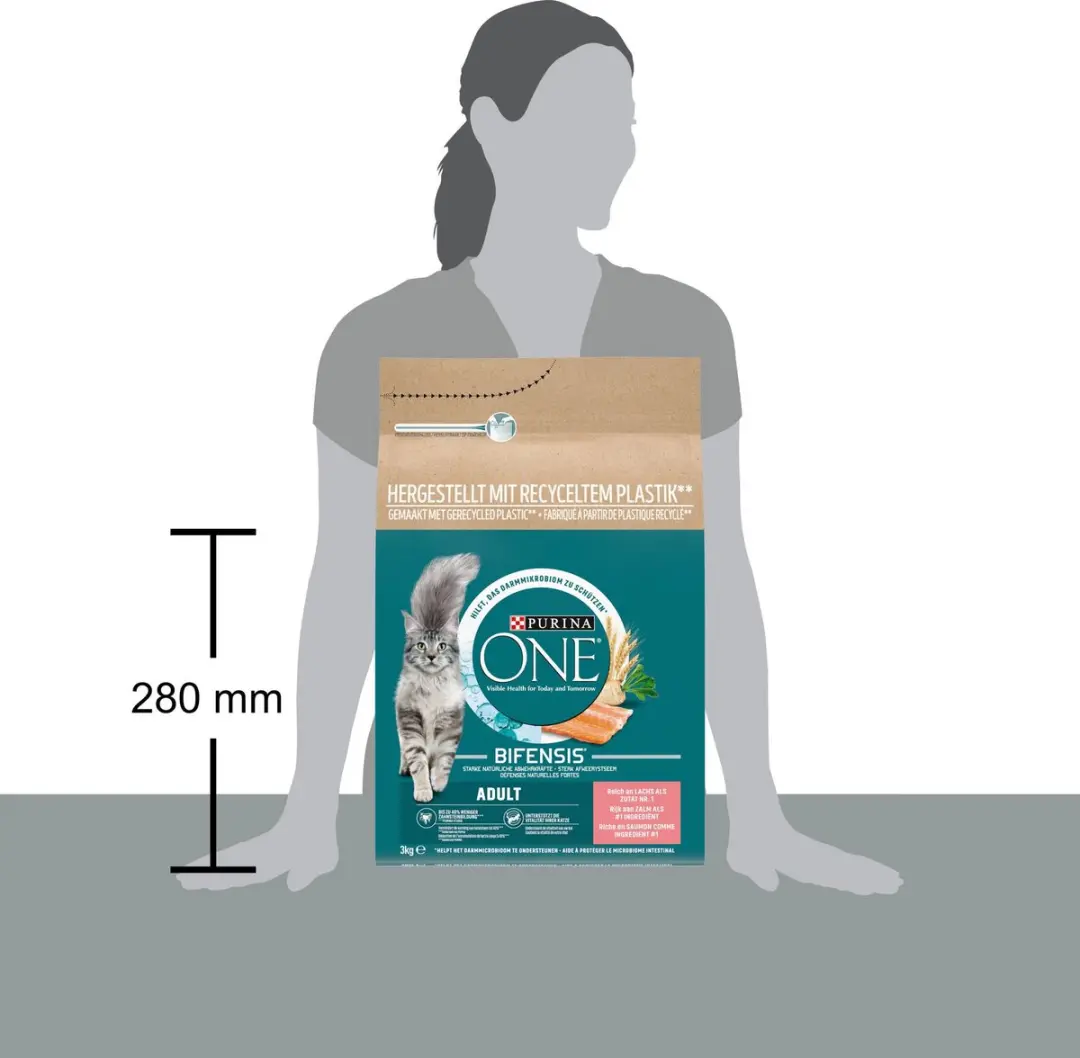 Purina ONE Adult Kattenbrokjes Zalm & Volkoren Granen - 12kg
