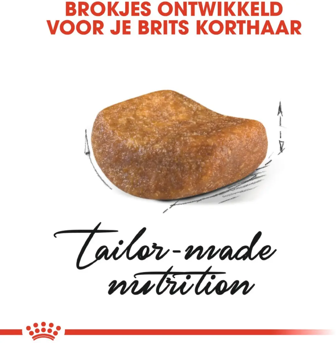 Royal Canin British Shorthair Adult Kattenvoer Brokjes 10kg