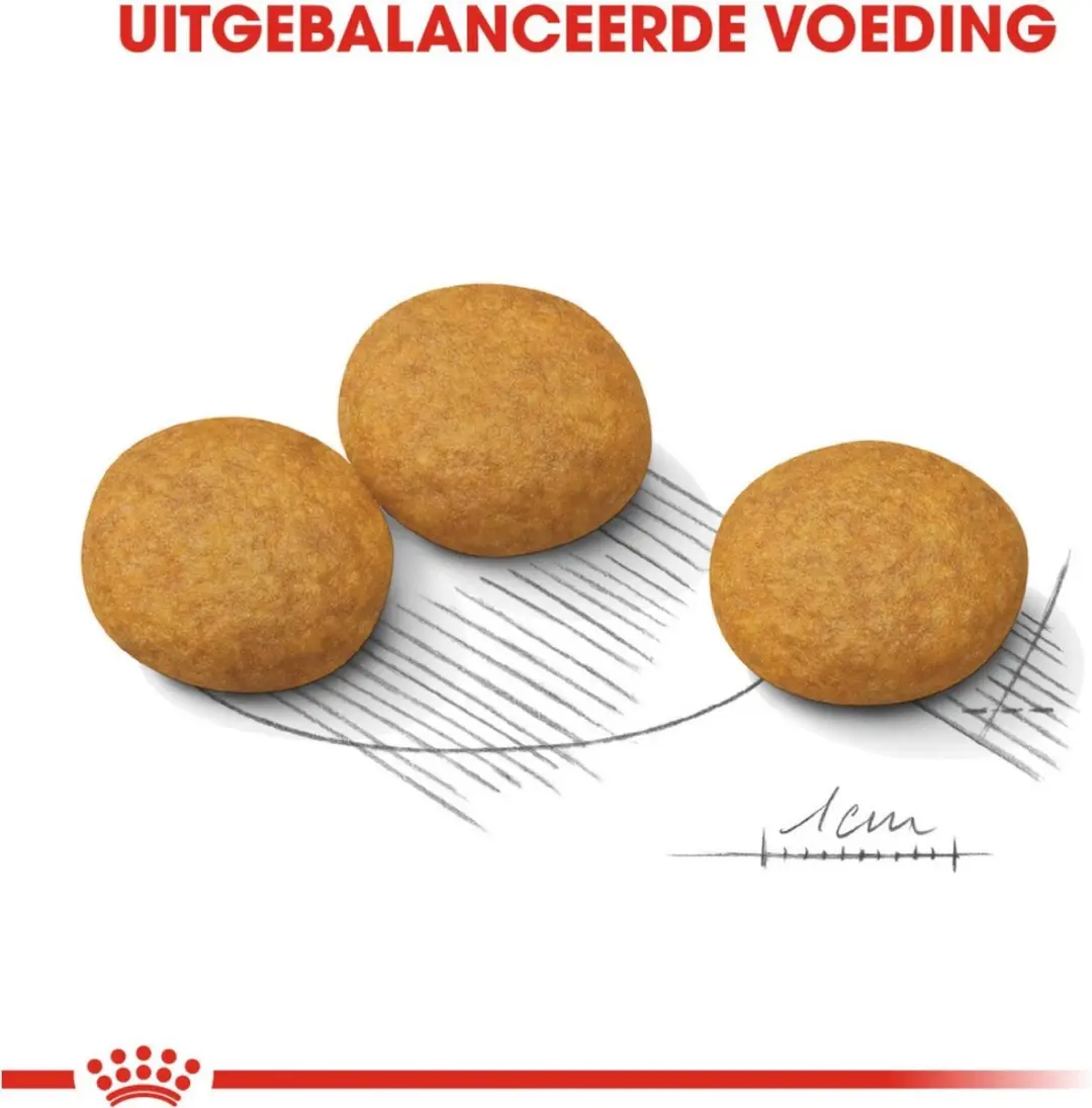 Royal Canin Medium Dermacomfort 10kg - afbeelding 6 van 6