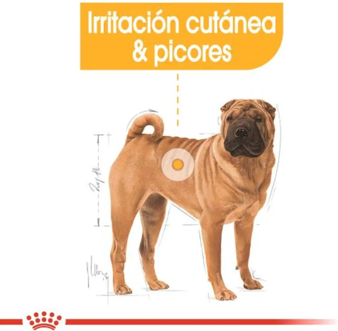 Royal Canin Medium Dermacomfort 10kg