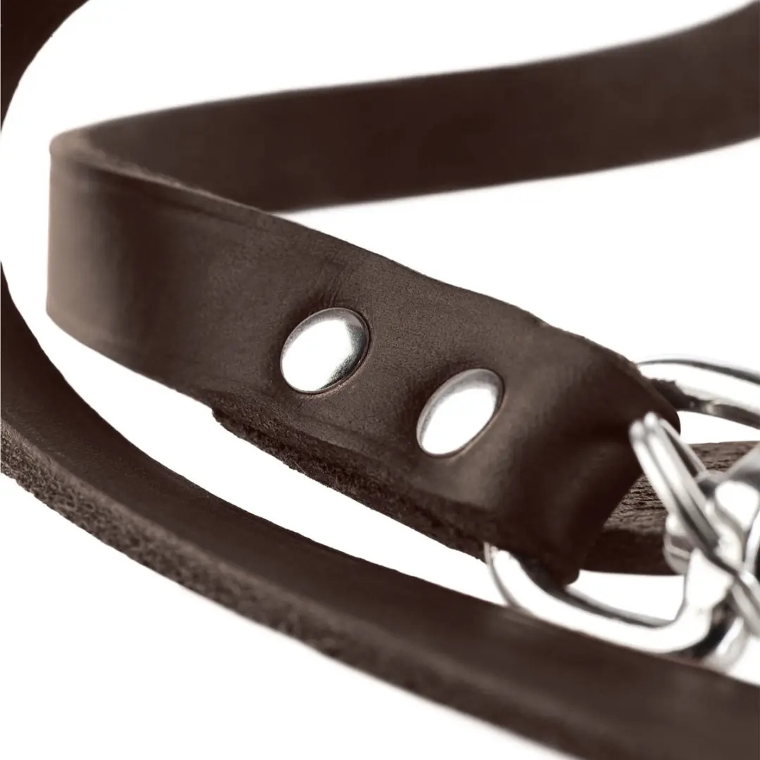 Hunter Verstelbare Looplijn Leder - 200x1.6cm