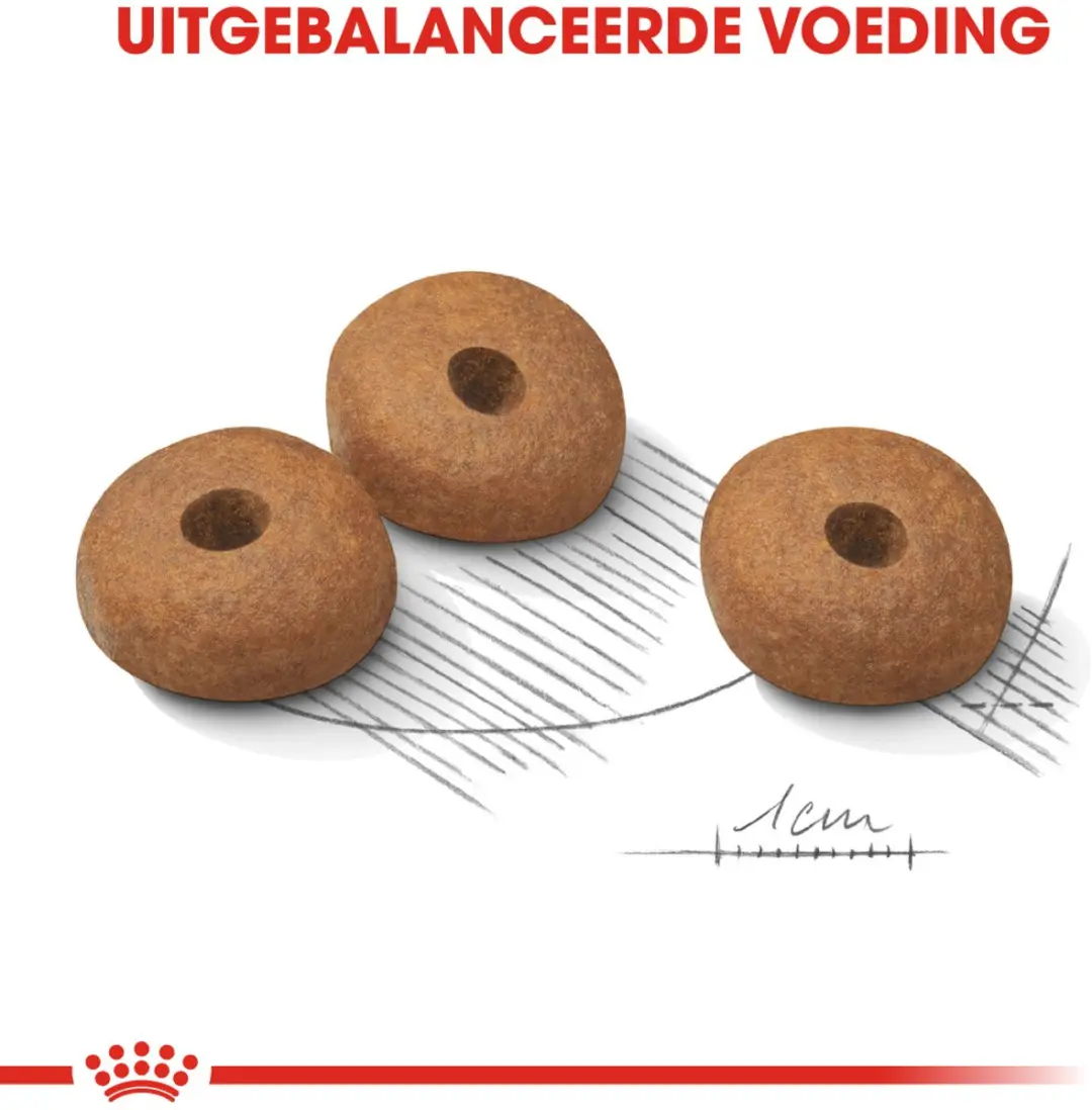 Royal Canin Light Weight Care Medium Hondenvoer - 12 kg
