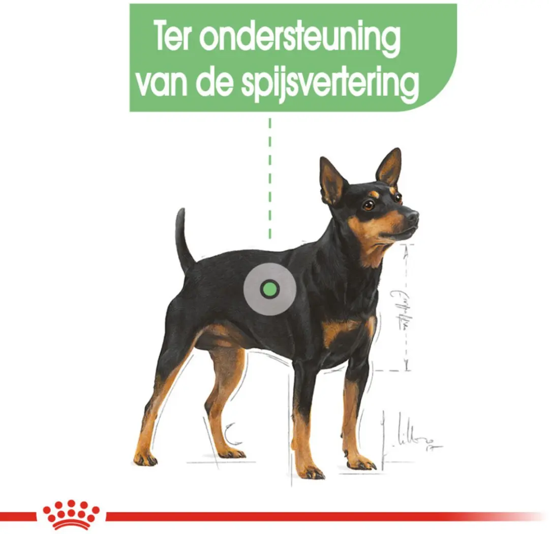 Royal Canin Digestive Care Mini Hondenvoer - 12 kg