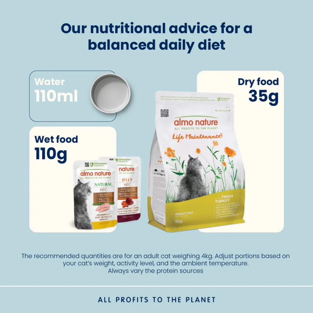 Almo Nature Holistic Kalkoen Kattenvoer Droog - 12kg