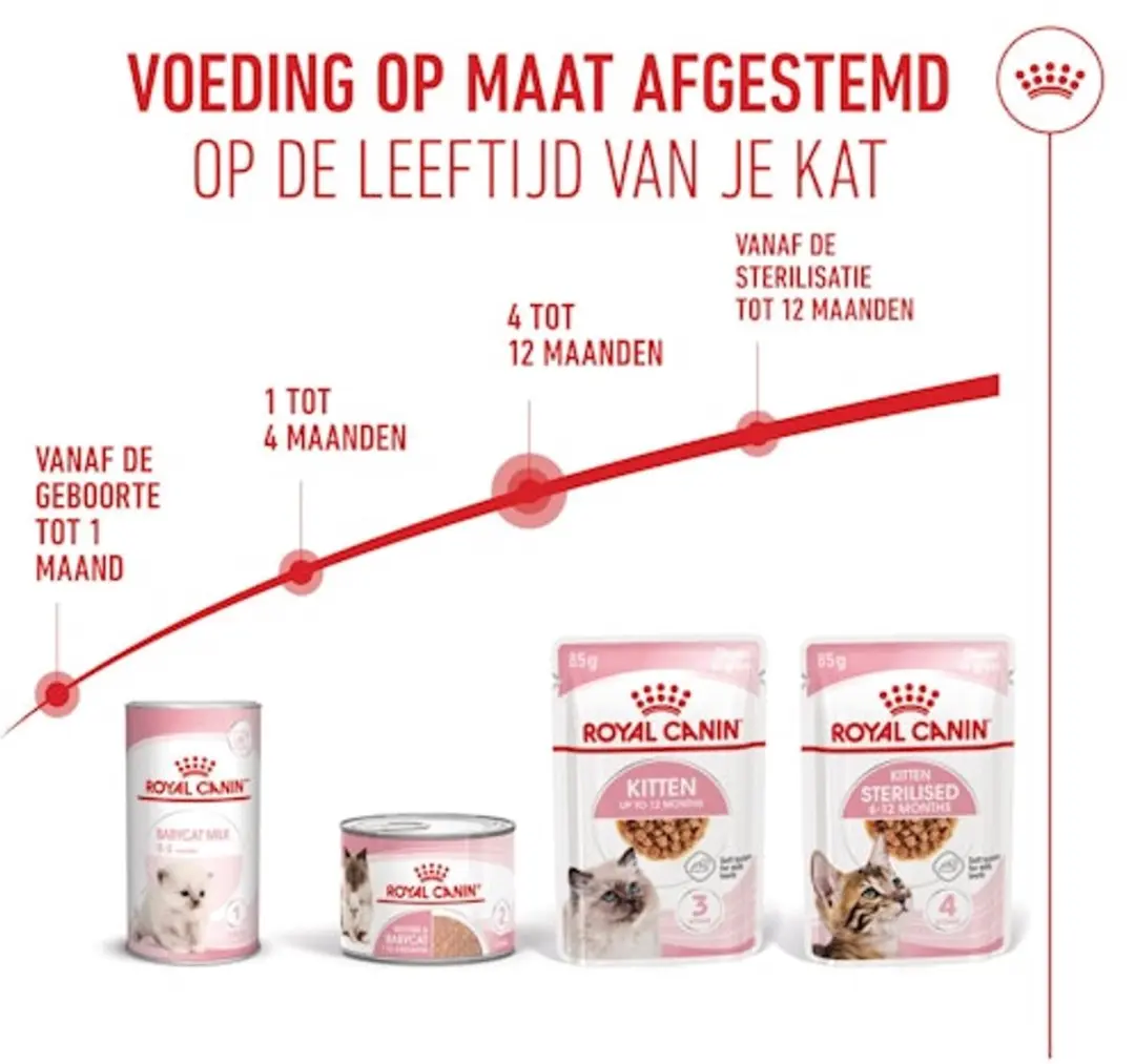 Royal Canin Kitten Natvoer in Gravy - 36x85g