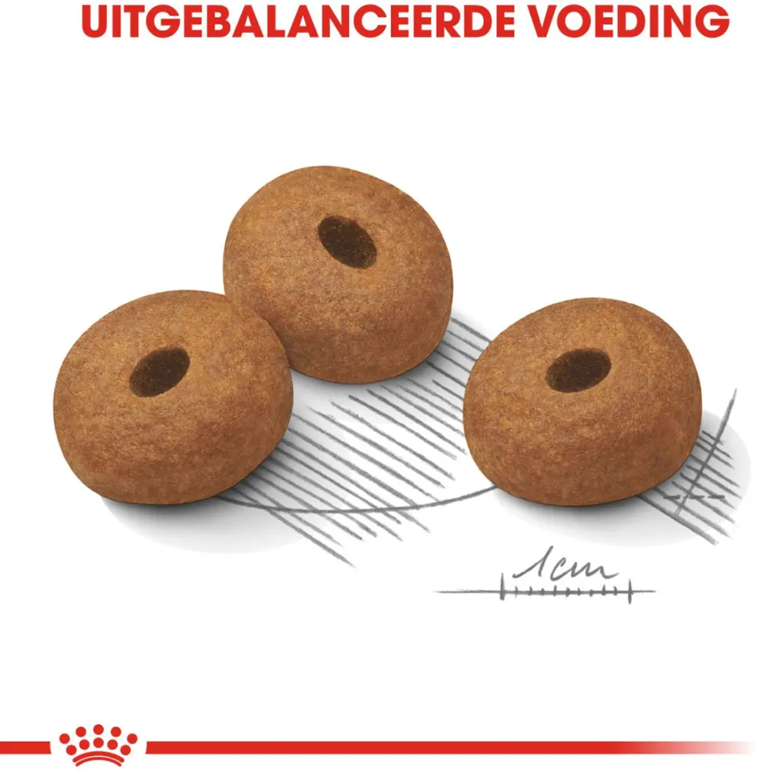 Royal Canin Light Weight Care Maxi Hondenvoer - 12 kg