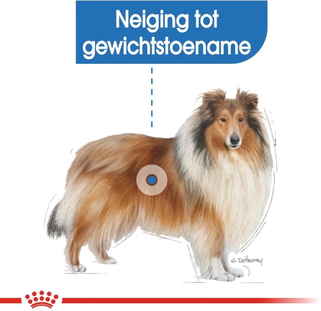Royal Canin Light Weight Care Maxi Hondenvoer - 12 kg - afbeelding 6 van 6