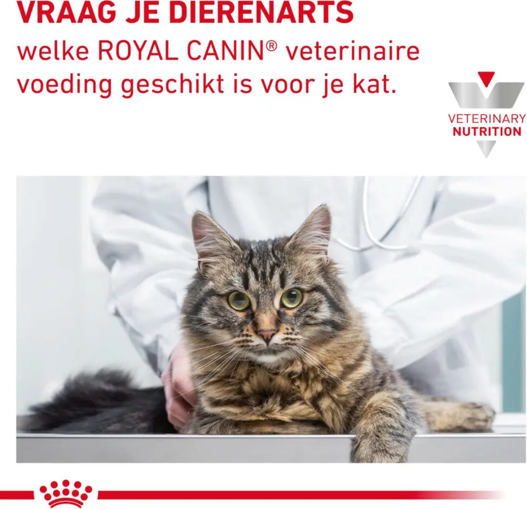 Royal Canin Gastrointestinal Kattenvoer Nat 85g - 48 Stuks