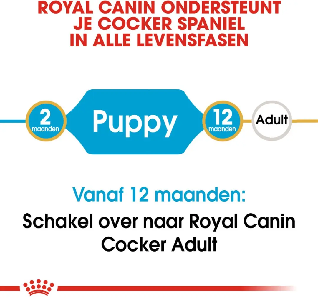 Royal Canin Cocker Puppy Hondenvoer - 3 kg