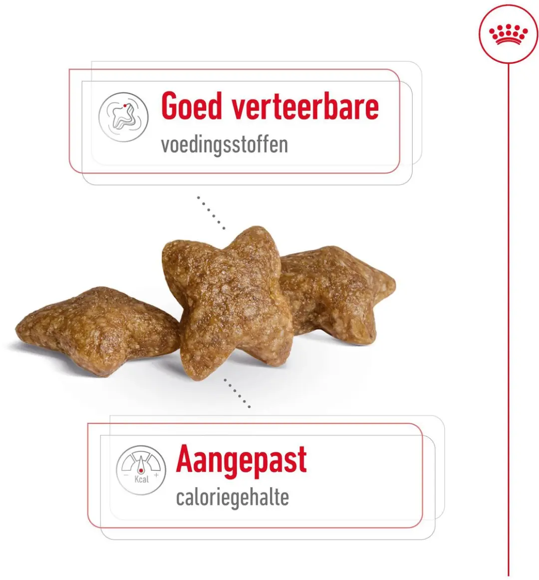 Royal Canin Mini Adult Hondenvoer - Kleine rassen 4 kg