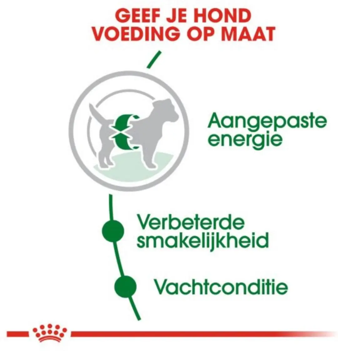 Royal Canin Mini Adult Hondenvoer - Kleine rassen 4 kg