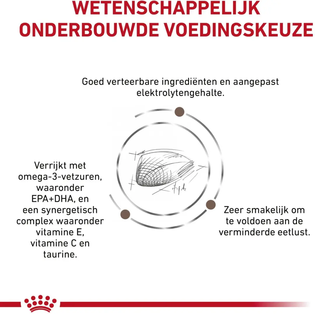 Royal Canin Gastro Intestinal Kat Combi - 4kg + 12x85g