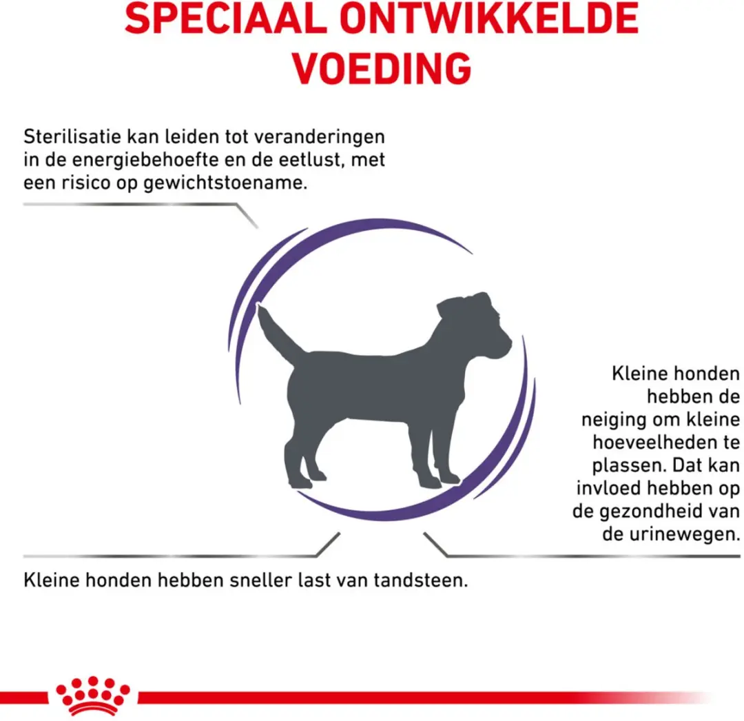 Royal Canin Hondenvoer Droog Neutered Adult Small 800g