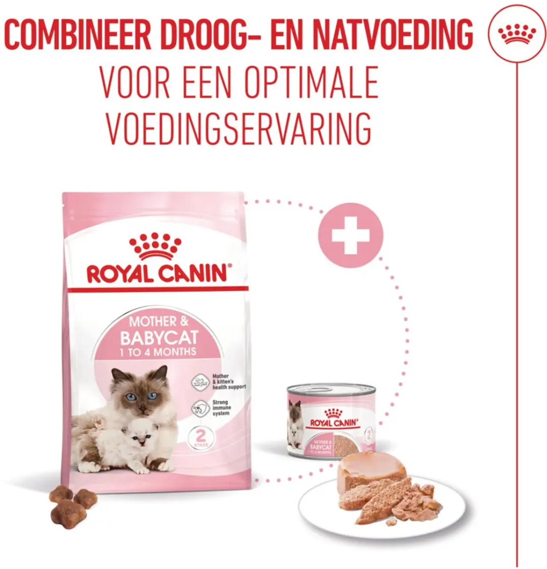 Royal Canin Mother & Babycat Kittenvoer - 6 kg