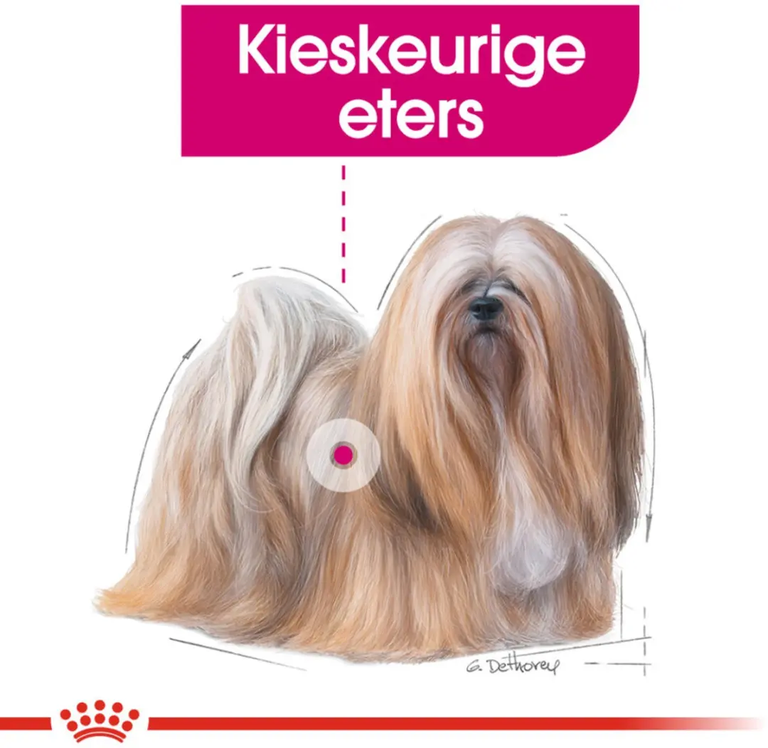 Royal Canin Exigent Mini Hondenvoer - 12kg (4x3kg)