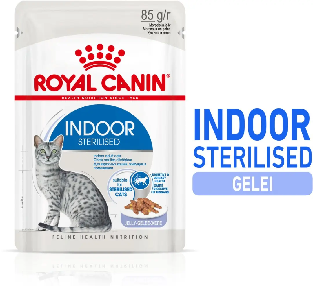 Royal Canin Indoor In Jelly Kattenvoer - 12x85g