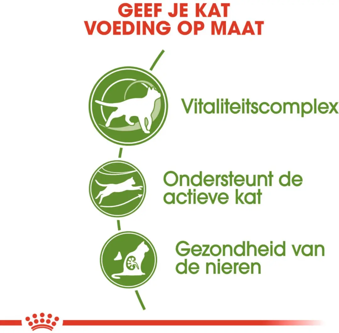 Royal Canin Outdoor 7+ Kattenvoer - 4x4kg