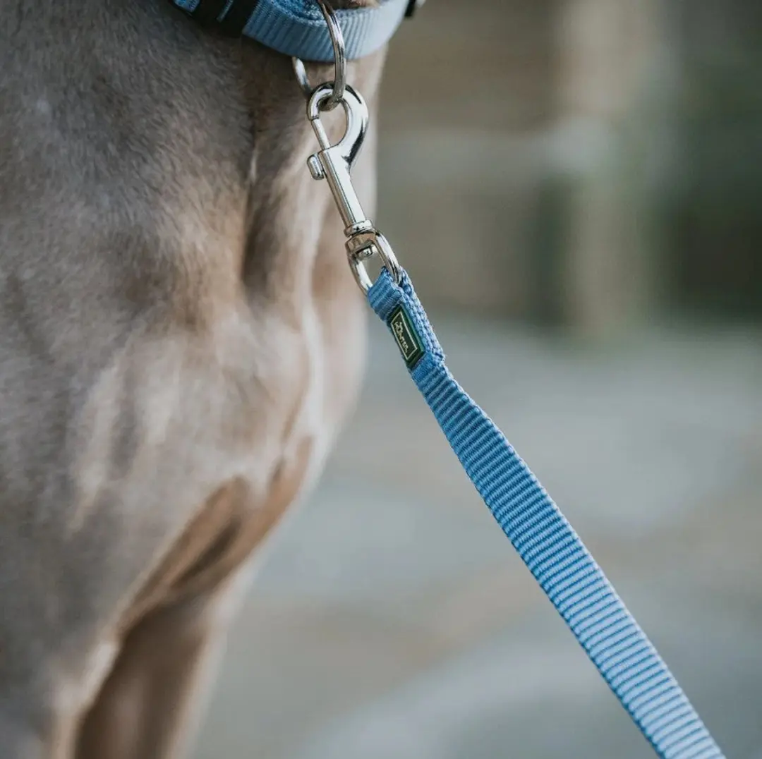 Hunter Hondenriem Blauw 100cm
