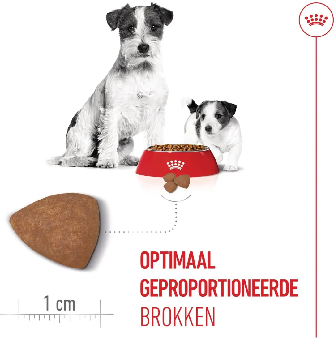 Royal Canin Mini Starter Mother & Babydog 4kg