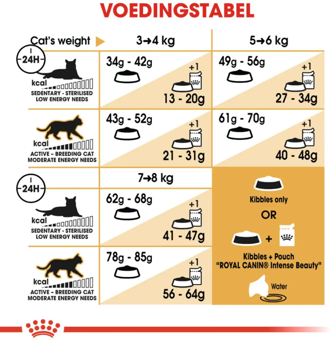 Royal Canin Ragdoll Adult Kattenvoer - 6x2kg
